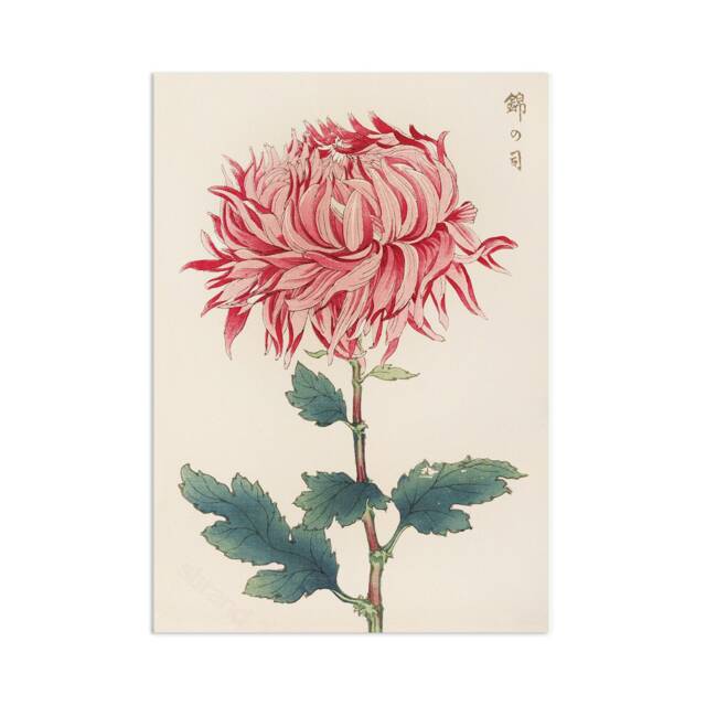 Japanese Ukiyo-E Art Print Poster Woodblock Wall Keika Hasegawa Chrysanthemums Flowers Landscape Floral Beautiful Japan Calligraphy A3 - image 1