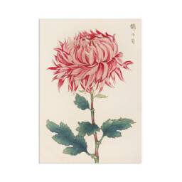 Japanese Ukiyo-E Art Print Poster Woodblock Wall Keika Hasegawa Chrysanthemums Flowers Landscape Floral Beautiful Japan Calligraphy A3 - thumbnail 1