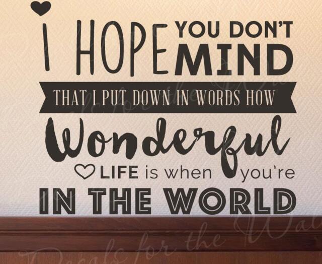 Elton John Hope You Dont Mind Vinyl Wall Decal Quote Sticker Art Decor Q11 - image 1