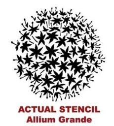 Allium Grande Flower Stencil - Wall Art Stencils Easy To Use Wall Art Stencils For A Quick Room Makeover Floral Walls - thumbnail 4