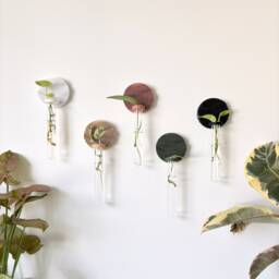 Beige Japandi Wall Vase/Minimalist Propagation Station - thumbnail 3