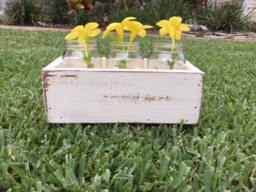 Table Top Box, Planter Mason Jar Center Piece, Wood Country Wedding, Jars, Rustic Decor, Storage Box - thumbnail 1