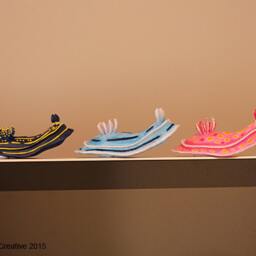 Lani The Nudibranch - Chromodoris Willani - thumbnail 3