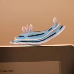 Lani The Nudibranch - Chromodoris Willani - thumbnail 2