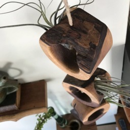 Hanging Live Edge Air Fern Holder - 3 - thumbnail 4