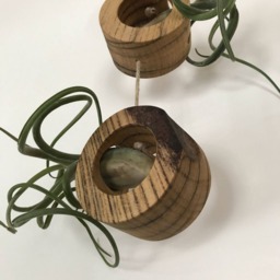 Hanging Live Edge Air Fern Holder - 3 - thumbnail 3