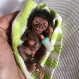 Micro Baby Gorilla - thumbnail 4