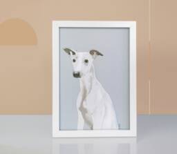Whippet Art Print Modern Dog Portrait, Gallery Wall Decor - thumbnail 1