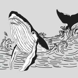 Whale Wall Sticker - Black White Waves Decal For Home Decor Elegant Art - thumbnail 2