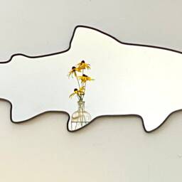 Trout Mirror/Handmade Wall Art Shape Outline Decor Miroir Rainbow Brook Brown Cutthroat Fly Fishing Angling Angler - thumbnail 3
