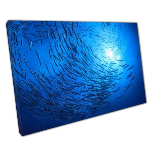 Barracuda School Underwater Canvas Print Aquatic Wall Art For Home & Office Decor - image 1