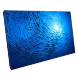 Barracuda School Underwater Canvas Print Aquatic Wall Art For Home & Office Decor - thumbnail 1