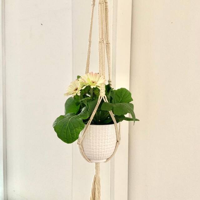 Cotton Macrame Hanger 40 - image 1