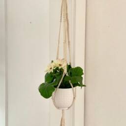 Cotton Macrame Hanger 40 - thumbnail 4
