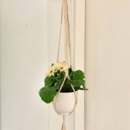 Cotton Macrame Hanger 40 - thumbnail 3