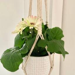 Cotton Macrame Hanger 40 - thumbnail 2