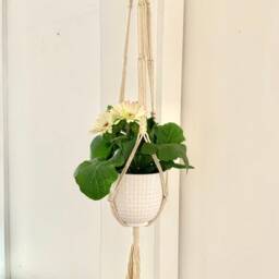 Cotton Macrame Hanger 40 - thumbnail 1