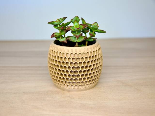 Honeycomb Indoor Plant Pot - Lightweight Wood Succulent Planter Cute Aesthetic Hexagonal Minimalist Modern 7cm Cactus - image 1