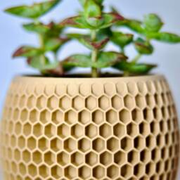 Honeycomb Indoor Plant Pot - Lightweight Wood Succulent Planter Cute Aesthetic Hexagonal Minimalist Modern 7cm Cactus - thumbnail 4