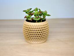 Honeycomb Indoor Plant Pot - Lightweight Wood Succulent Planter Cute Aesthetic Hexagonal Minimalist Modern 7cm Cactus - thumbnail 1