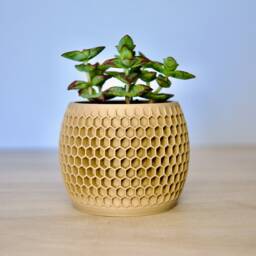 Honeycomb Indoor Plant Pot - Lightweight Wood Succulent Planter Cute Aesthetic Hexagonal Minimalist Modern 7cm Cactus - thumbnail 2