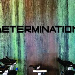 Determination Sticker, Wall Decor For Gym, Decal Classroom, Office Decor, Gym Design Ideas, Motivation - thumbnail 3