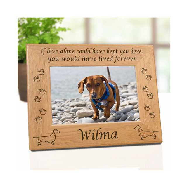 Dachshund, Doxie Dog Gifts For Men, Personalized Picture Frame Lovers, Mom, Dachshund Dad, Girls - image 1