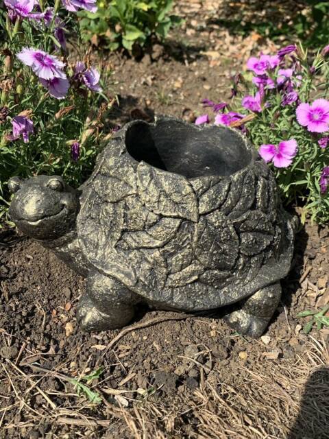 stone Garden Tortoise Leaf Detail Planter Plant Pot Gold Gift Concrete Ornament - image 1