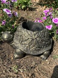 stone Garden Tortoise Leaf Detail Planter Plant Pot Gold Gift Concrete Ornament