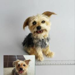 Needle Felted Dog Yorkshire Portrait Dog-Wool Animal Sculpture - Eco Friendly Art-Collectible Artist Animals-Art Doll - thumbnail 4