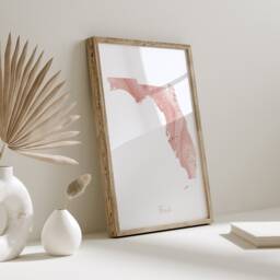 Florida Map Pink & Gold Wall Art Print - Usa Us State United States Of America - thumbnail 1