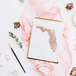 Florida Map Pink & Gold Wall Art Print - Usa Us State United States Of America - thumbnail 3