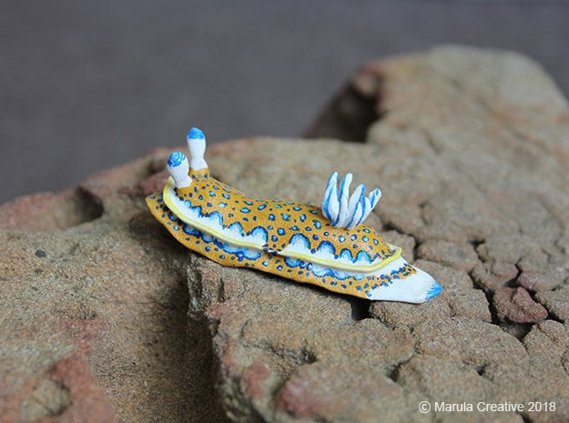 Olga The Nudibranch - Felimare Olgae - image 1