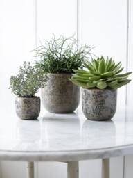 Grey & Blue Round Floral Pot