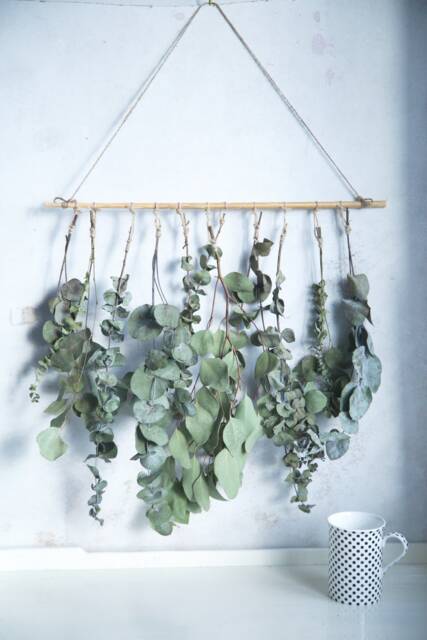 Eucalyptus Wall Hanging in UK Natural Dried Flowers Decor - image 1