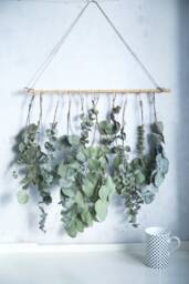 Eucalyptus Wall Hanging in UK Natural Dried Flowers Decor - thumbnail 1