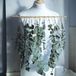 Eucalyptus Wall Hanging in UK Natural Dried Flowers Decor - thumbnail 2