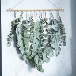 Eucalyptus Wall Hanging in UK Natural Dried Flowers Decor - thumbnail 3