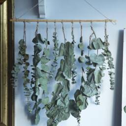 Eucalyptus Wall Hanging in UK Natural Dried Flowers Decor - thumbnail 4