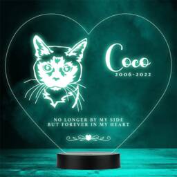 Cat Pet Loss Memorial Forever in My 4 Personalised Gift Colour Night Light