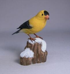 American Goldfinch On Wooden Snowy Base
