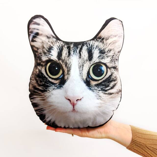 Pet Face Cushion - Mush Cush??? Novelty Gift Funny Dog Cat Shape 2 - image 1