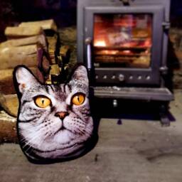 Pet Face Cushion - Mush Cush??? Novelty Gift Funny Dog Cat Shape 2 - thumbnail 3