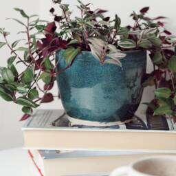 Green Ceramic Planter, Handmade Glazed Pot, Speckled Plant Large Turquoise Vessel, Unique British Gift, Handcrafted Pots - thumbnail 2