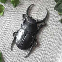 Large Beetle Wall Hanging, Bug Art, Insect Decor, Unusual Gift, Goth Gold Bug, Entomology Gift - thumbnail 4