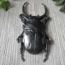 Large Beetle Wall Hanging, Bug Art, Insect Decor, Unusual Gift, Goth Gold Bug, Entomology Gift - thumbnail 3
