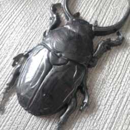 Large Beetle Wall Hanging, Bug Art, Insect Decor, Unusual Gift, Goth Gold Bug, Entomology Gift - thumbnail 2