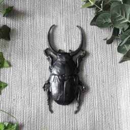 Large Beetle Wall Hanging, Bug Art, Insect Decor, Unusual Gift, Goth Gold Bug, Entomology Gift