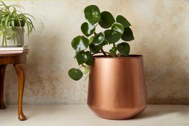 Tamra Copper Floor Planter - Elegant Plant Pot Modern Home D??cor - image 1