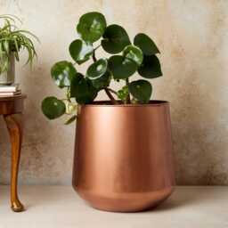Tamra Copper Floor Planter - Elegant Plant Pot Modern Home D??cor - thumbnail 3